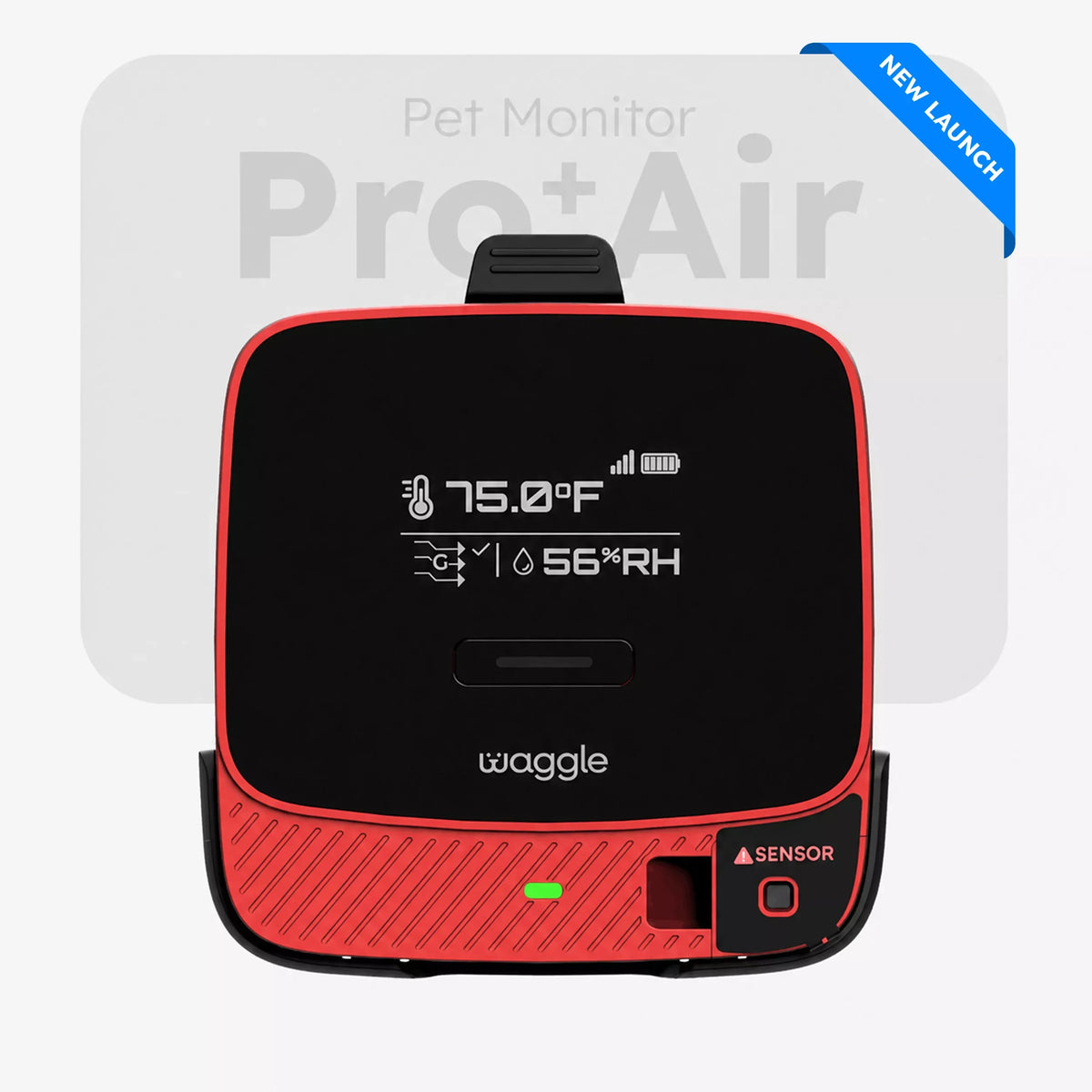 Waggle Pet Monitor (image: Waggle)